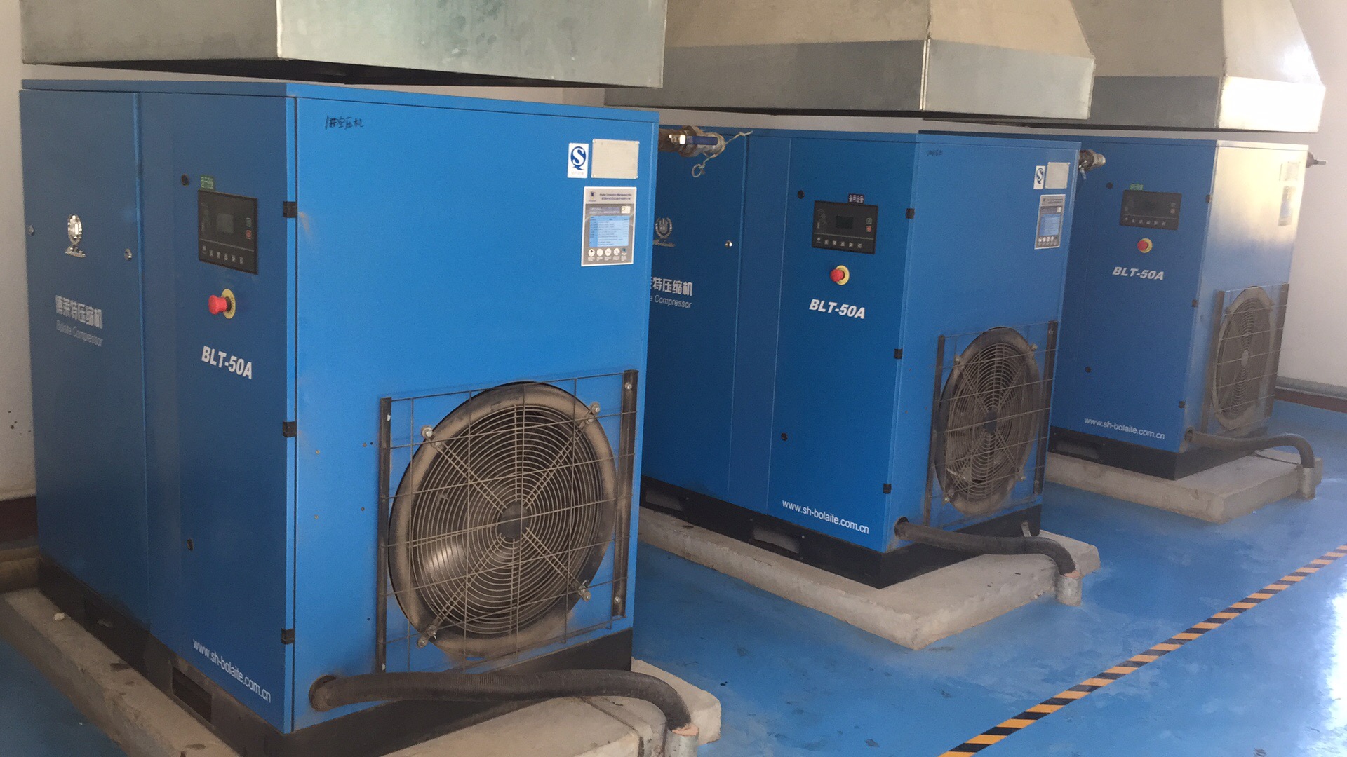 1583223101947947.jpg 306084296614791507.jpg